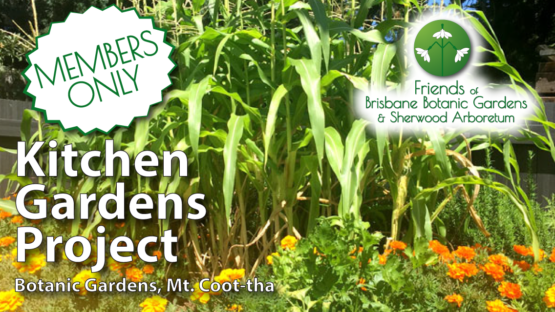 Kitchen Garden Volunteering