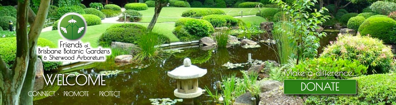 Friends of Brisbane Botanic Gardens & Sherwood Arboretum