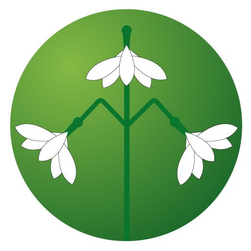 Site Icon