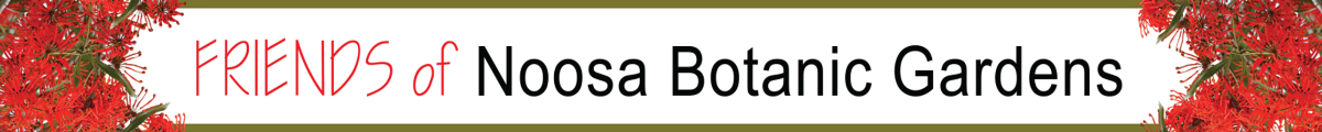 Friends of the Noosa Botanic Gardens October Newsletter