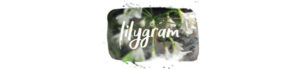 Lilygram Autumn 2021 Newsletter