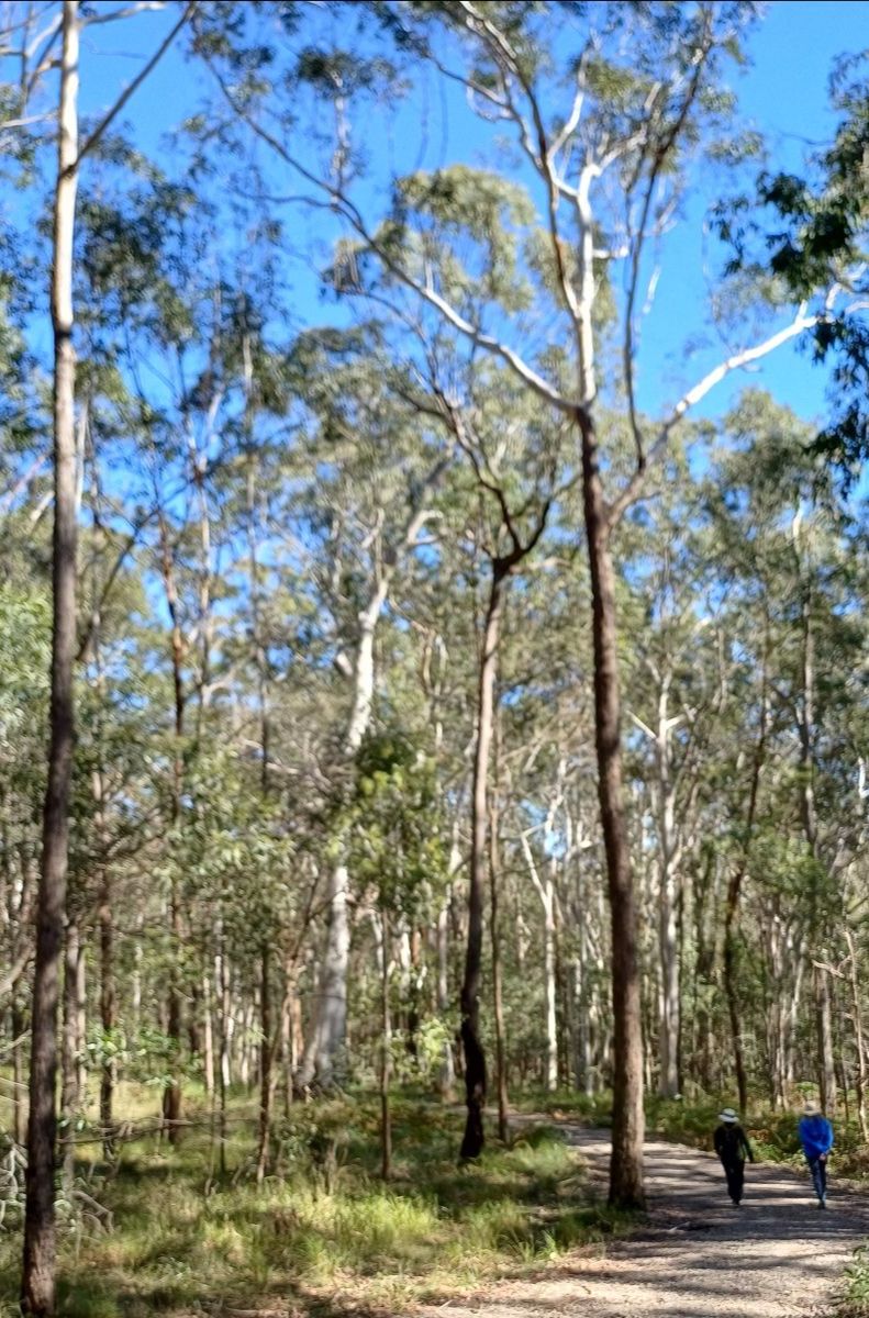 Taipei Botanic Gardens