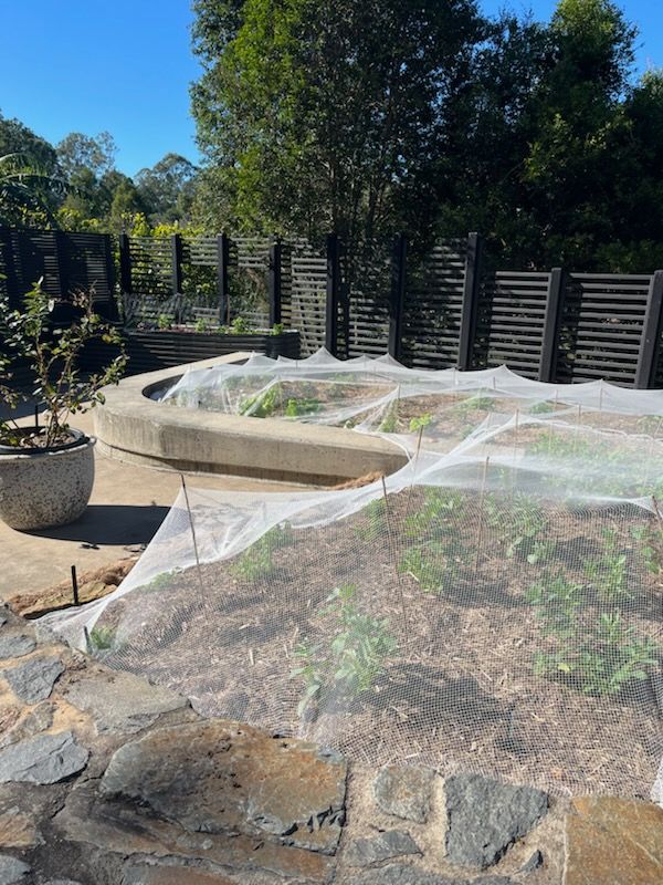 Kitchen garden nets