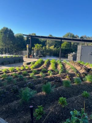 Kitchen garden rows