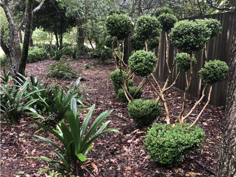 Plant Sale – Sunday 14 December