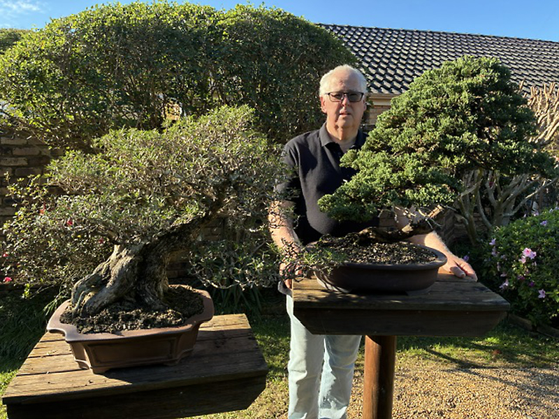 Episode Six: The Bonsai House