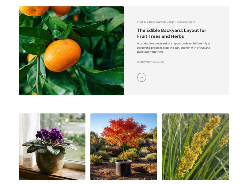 506 free plant care guides written for Australian climate zones